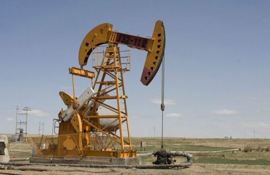 點擊檢查具體信息<br>標題：Oil 瀏覽次數：2357